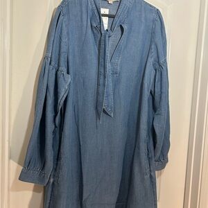 LOFT Blue Long Sleeve Dress
